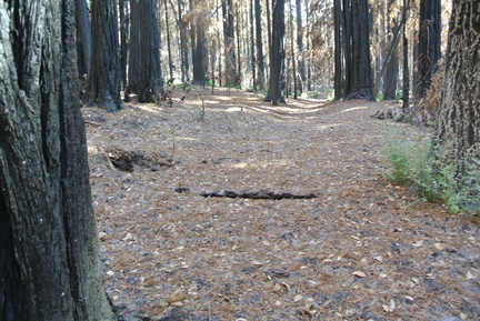 DSC 5251