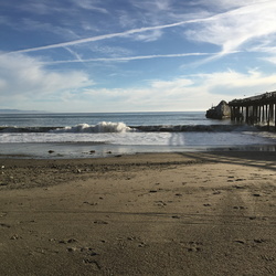 Aptos
